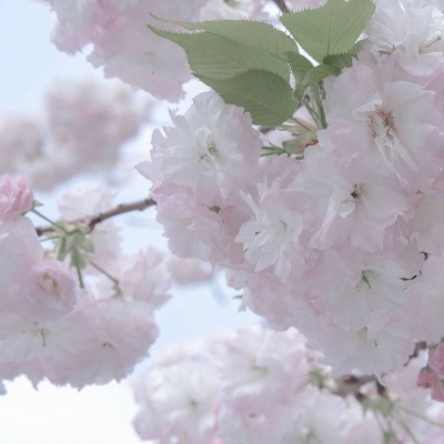 Furry插画光影处理福瑞交流群